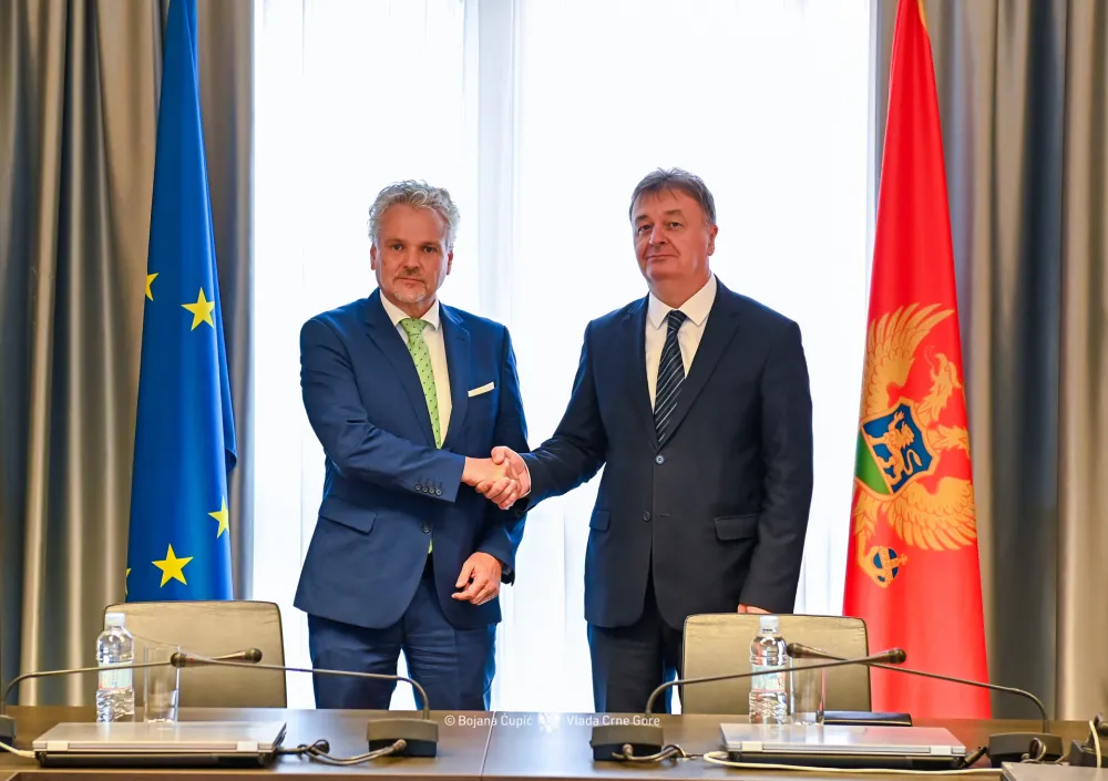 Aleksić - Satler: Snažno opredjeljenje Vlade za implementiranje evropskih standarda