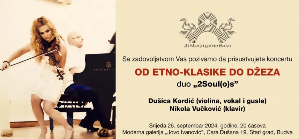 Vizual za koncert