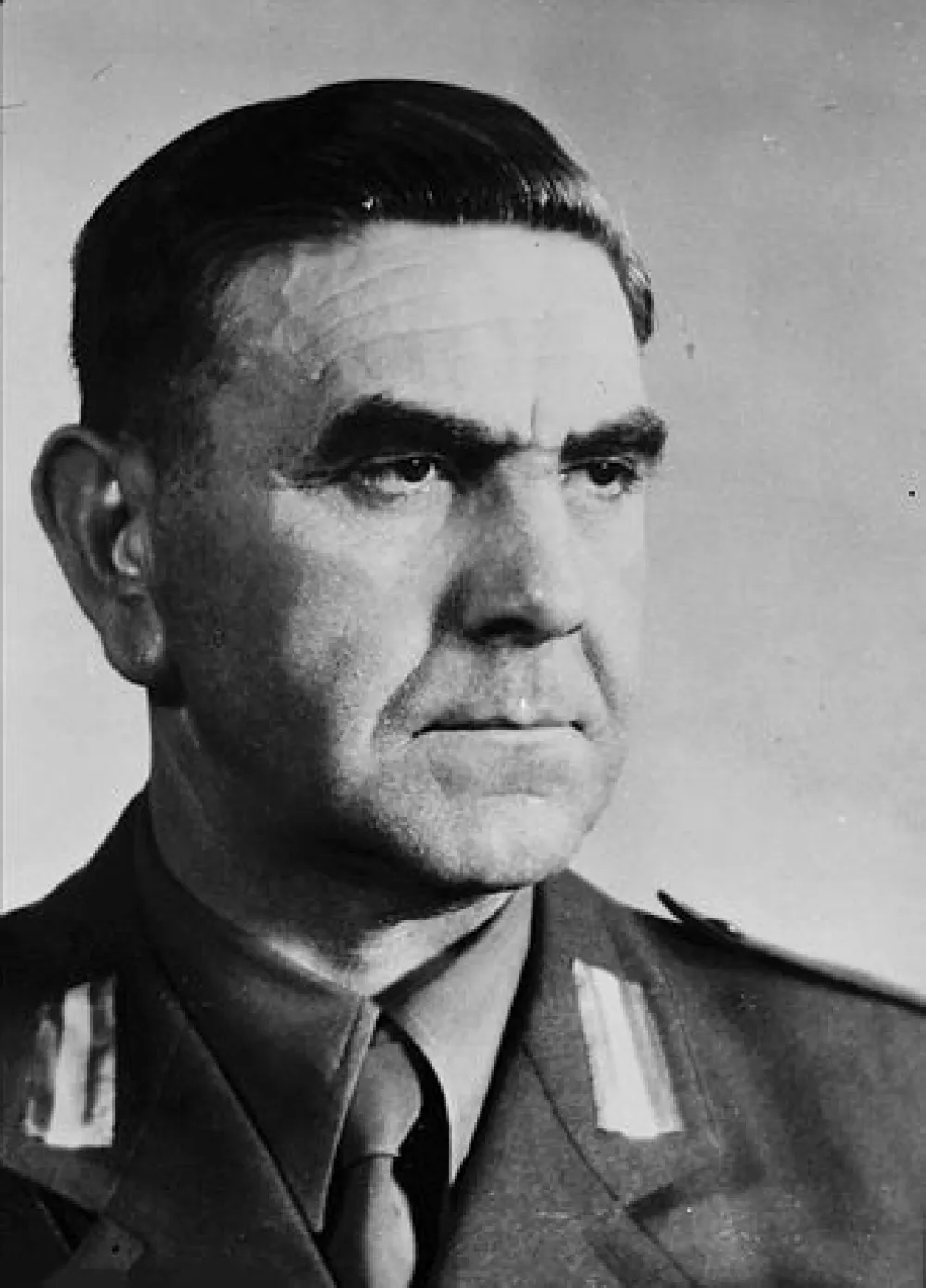 Usta&scaron;ka voјska Nezavisne države Hrvatske 1941-1945. (1) Nesposoban bio za voјnu službu