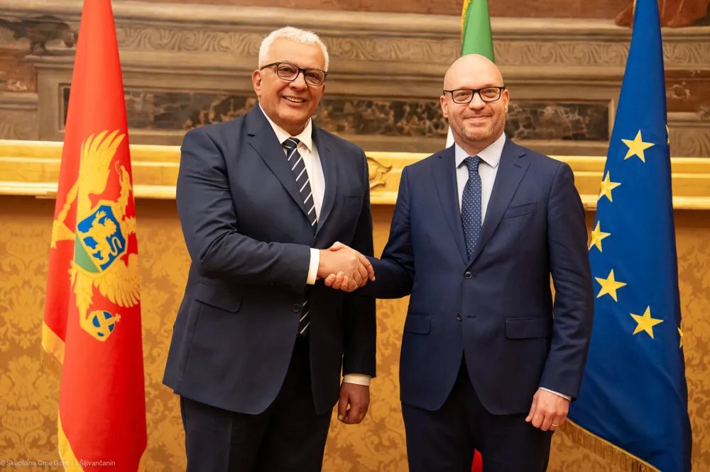 Mandić: Anti-mafija odbor, po italijanskom modelu, bio bi od izuzetne koristi za Crnu Goru