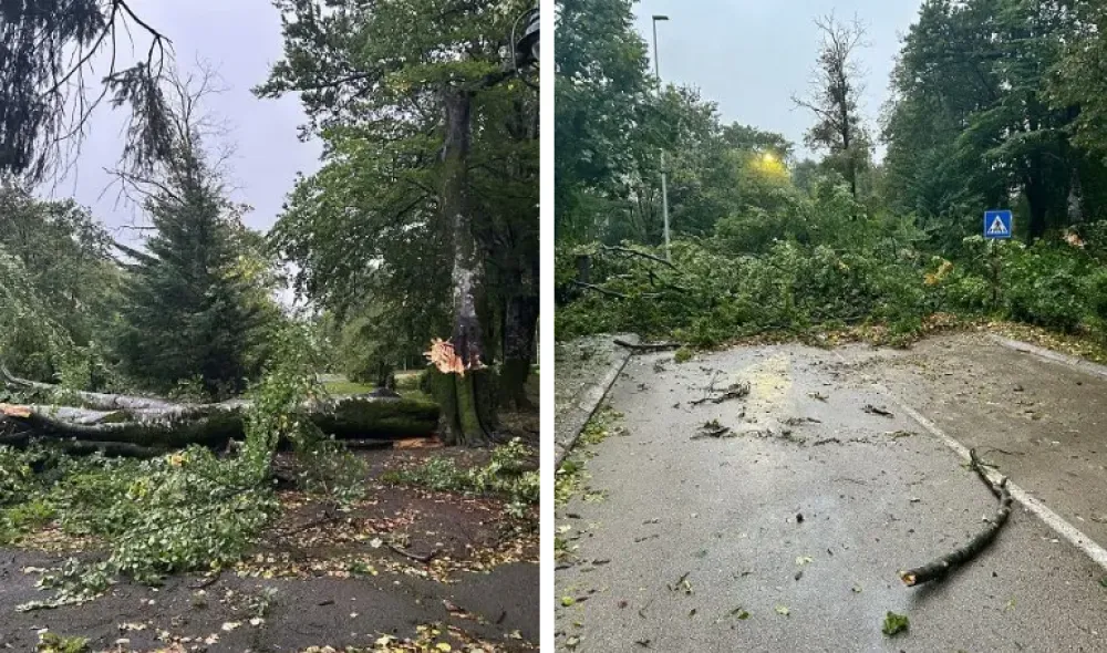 Problemi zbog nevremena na Cetinju, nadležne službe na terenu