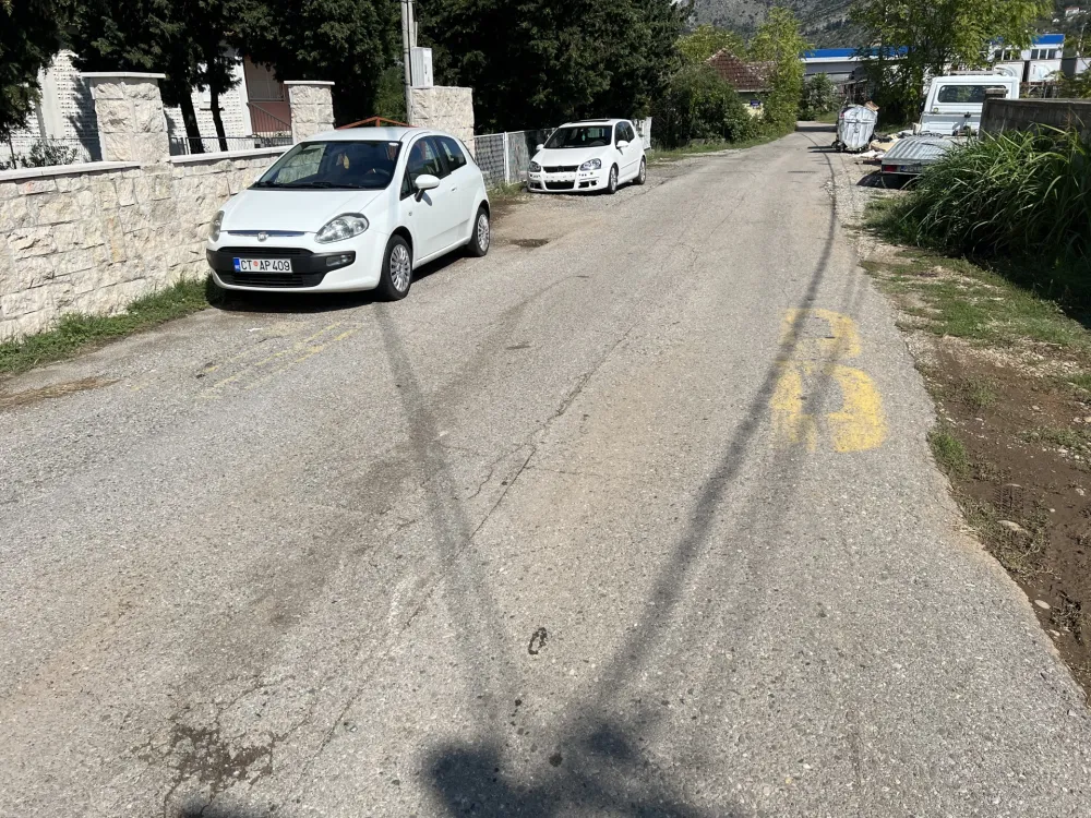 Zlatičani traže da Dunavskom ponovo ide autobus