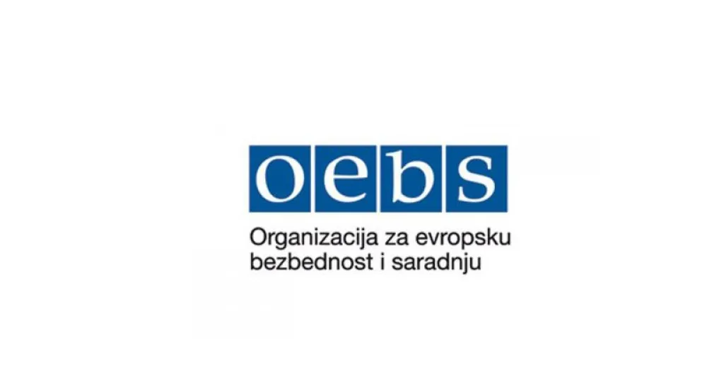 Izvje&scaron;taj OEBS-a: Osobe sa invaliditetom ne osjećaju podr&scaron;ku dok glasaju na izborima
