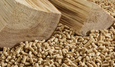 Vlada Srbije produžila je zabranu uvoza peleta za jo&scaron; tri mjeseca, objavljeno je u Službenom glasniku.