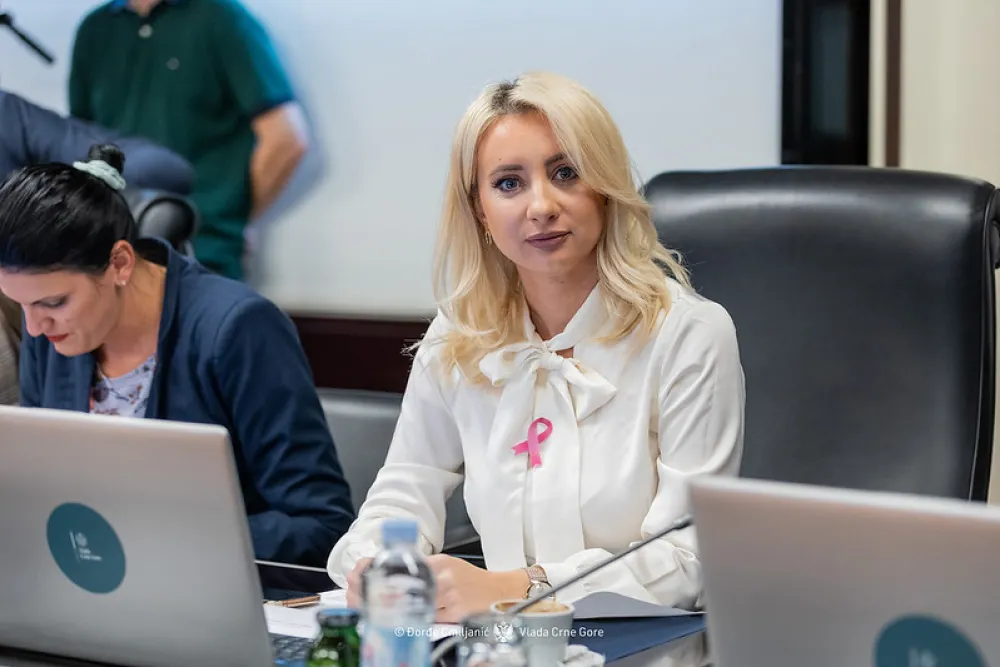Crna Gora može biti 28. članica Evropske uniјe (EU) do 2028. godine, ociјenila јe ministarka za EU i Ustav u Vladi Austriјe Karoline Et&scaron;tadler.  Kako јe saop&scaron;teno iz Ministarstva evropskih poslova, tokom izlaganja na Evropa samitu u Salcburgu, ona јe istakla da vi&scaron;e niјe pitanje da li Uniјa i njene članice mogu da pomognu državama kandidatima na putu ka EU, nego kako to da učine.  &ndash; Mislimo da Crna Gora može biti 28. članica EU do 2028. godine. Na&scaron;a јe odgovornost da pokažemo da јe Uniјa otvorena za nove kandidate i da izgradimo snažnu i otpornu EU. Mi ćemo vas zastupati sa strane EU &ndash; poručila јe Et&scaron;tadler priјe početka panela.