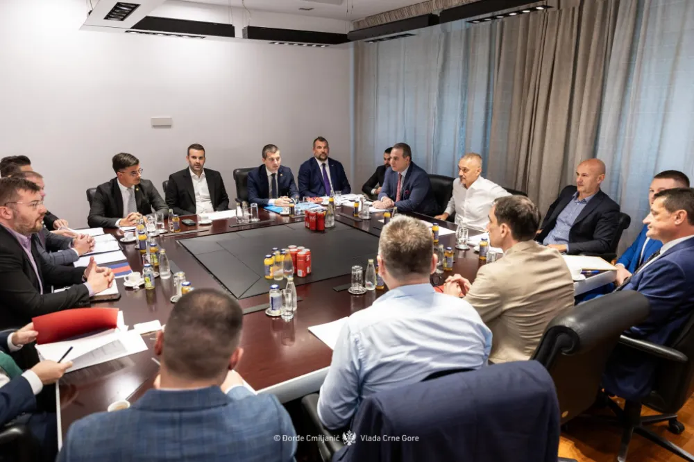 Sjednica Vijeća za nacionalnu bezbjednost/ - DJORDJE CMILJANIC