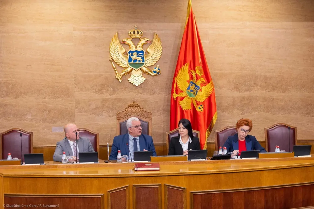 Mandić će obrazlagati predlog odluke o pokretanju parlamentarne istrage