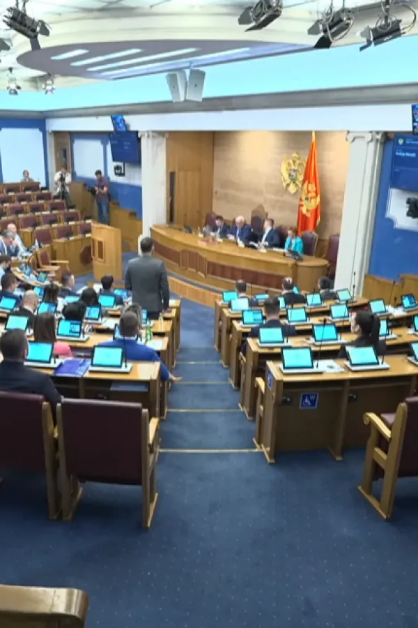 Mrdović: Partije da plaćaju savjetnike poslanicima, ne građani