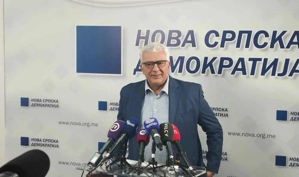 Andrija Mandić, press NDS