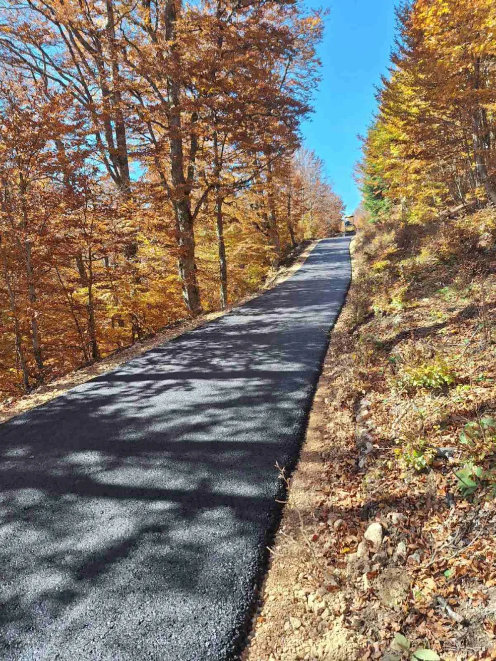 Andrijevica: Asfaltirali 40 kilometara puteva