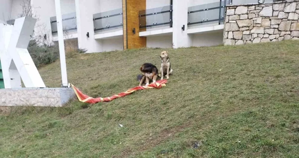 DPS Žabljak: Lokalna vlast da vrati zastavu na jarbol i pokaže vi&scaron;e po&scaron;tovanja za državne simbole