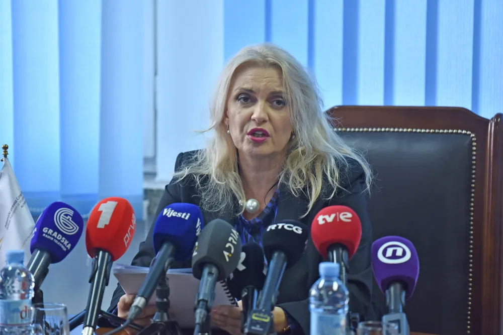 Dragana Luksic