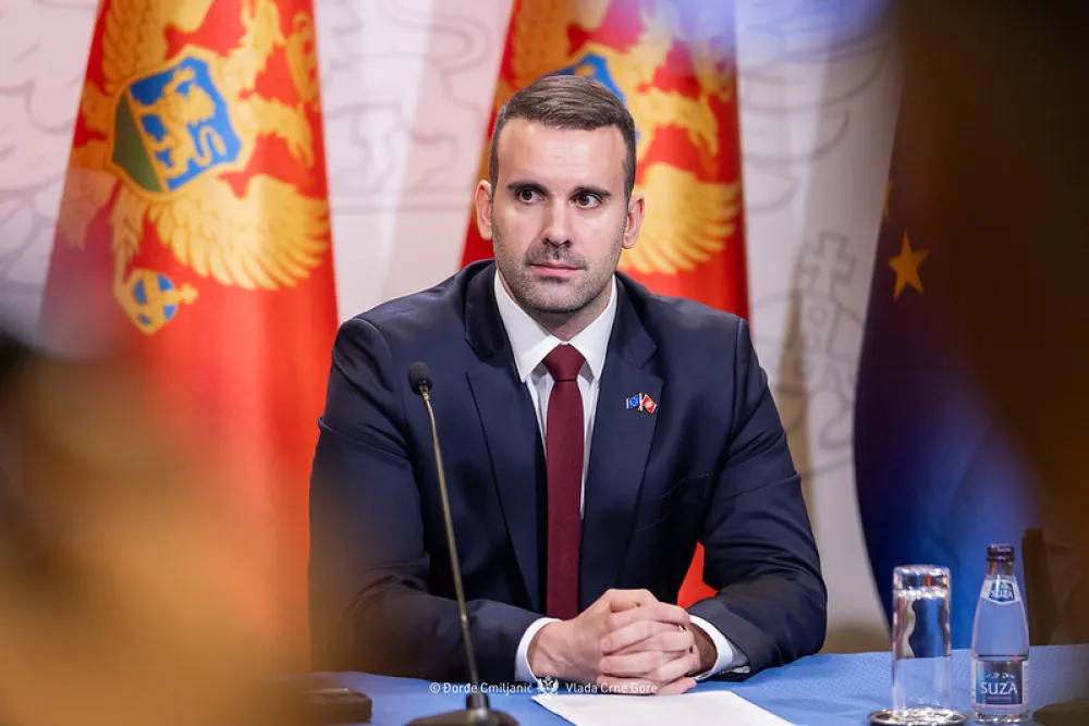 Spajić nakon sječe&nbsp;u Zagoriču: Osim jače kontrole inspekcije potrebno da se promijeni i ekolo&scaron;ka svijest ljudi