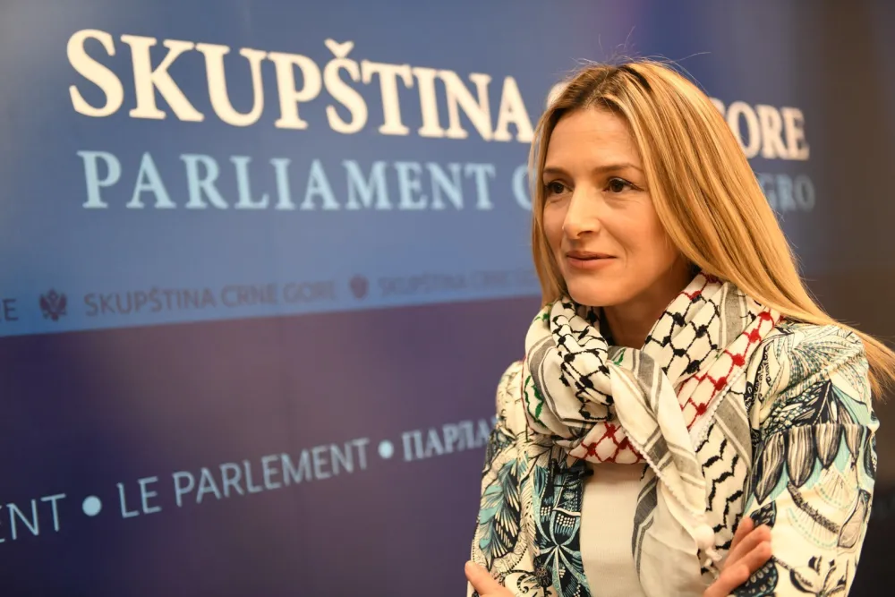 Strujić Harbić: Hitno uspostaviti krizne centre za žrtve seksualnog nasilja
