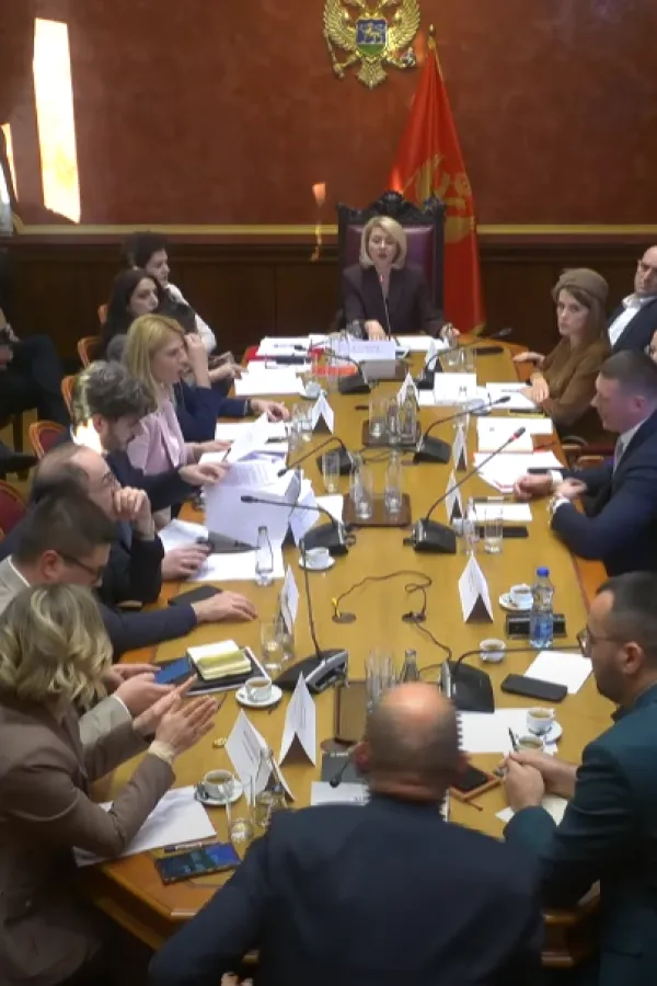 (VIDEO) Božović: Imamo većinu za izbor sudija Ustavnog suda; Vuković Kuč: Ovo je urota protiv EU puta