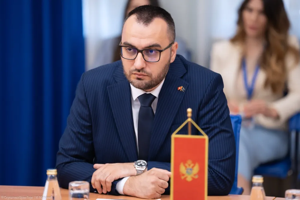 Stjepović: Presuda biv&scaron;oj direktorici preduzeća &ldquo;Putevi&rdquo; dokaz da je pravda spora, ali dostižna