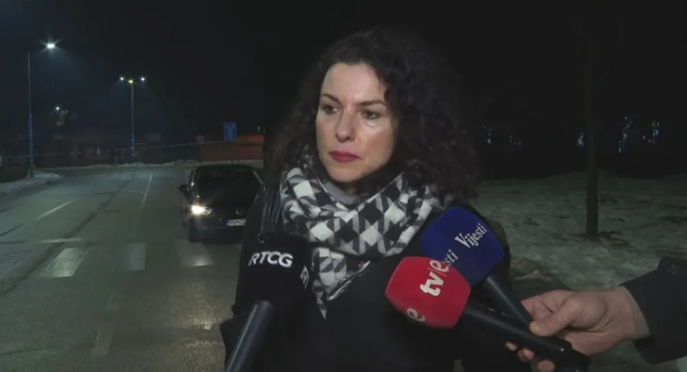 Tužiteljak nastić