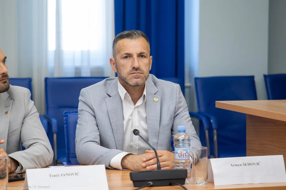 &Scaron;ehović: Maske pale, DPS ne vjeruje evropskim institucijama