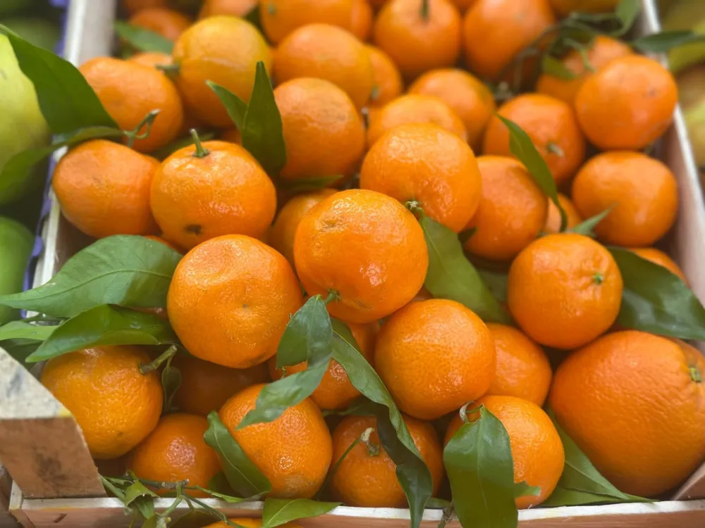 Kilogram mandarina 2, 50 eura