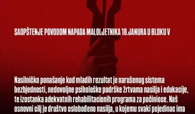 Kamo Śutra: Nasilničko pona&scaron;anje rezultat naru&scaron;enog sistema bezbjednosti