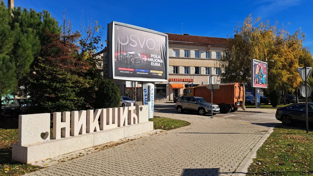Nik&scaron;ić, nasilje u porodici