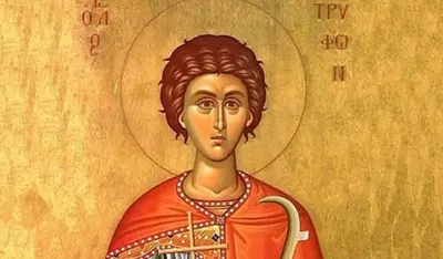 Sveti Trifun
