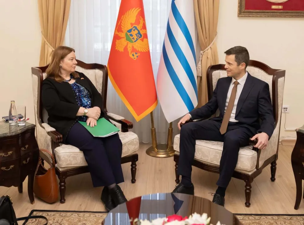 Rajnke i Mujović