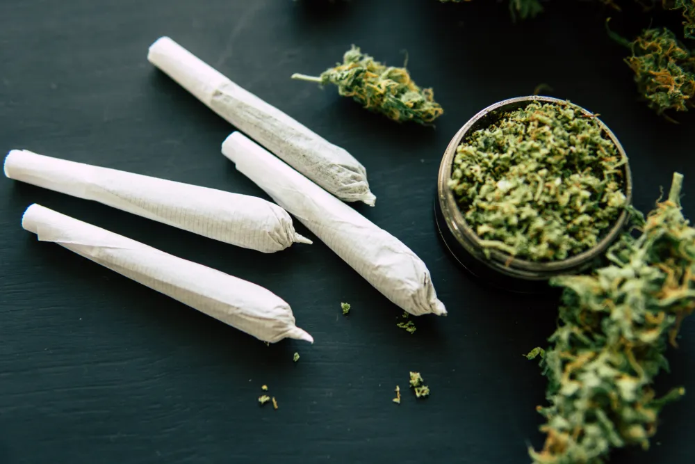 Krivična prijava protiv maloljetnika kod kojeg je pronađena marihuana