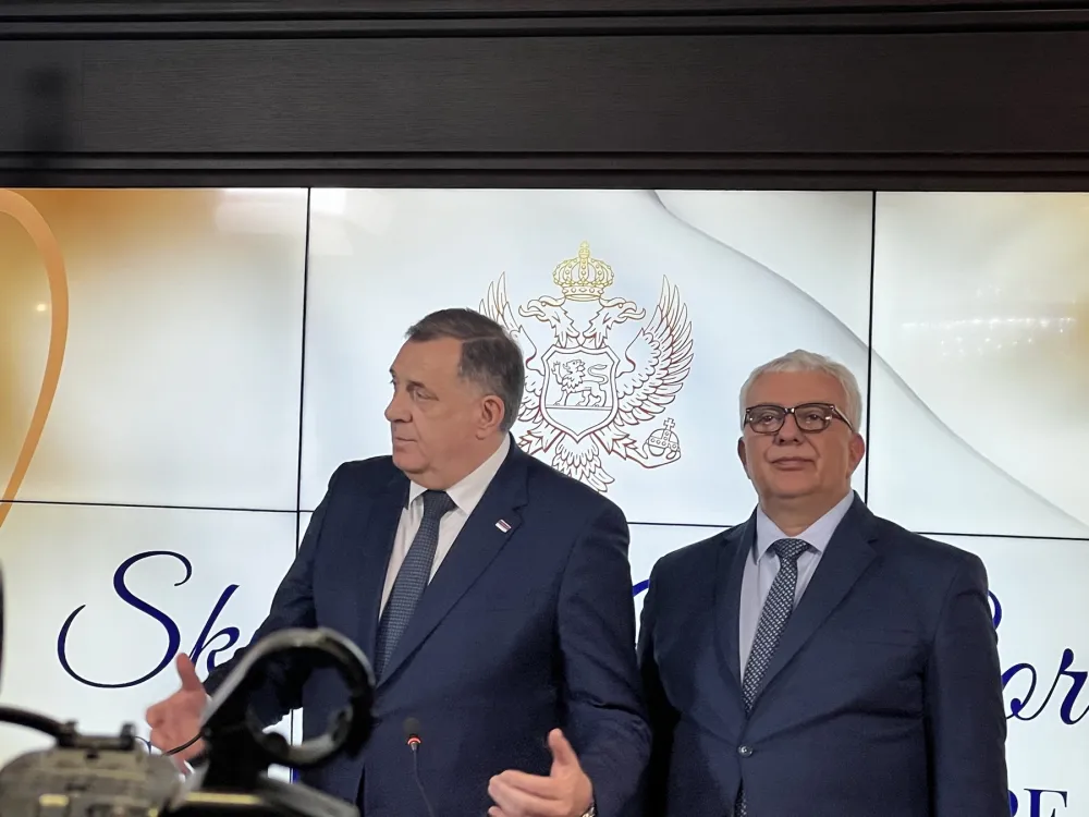 Mandić: Presuda Dodiku donosi političku nestabilnost