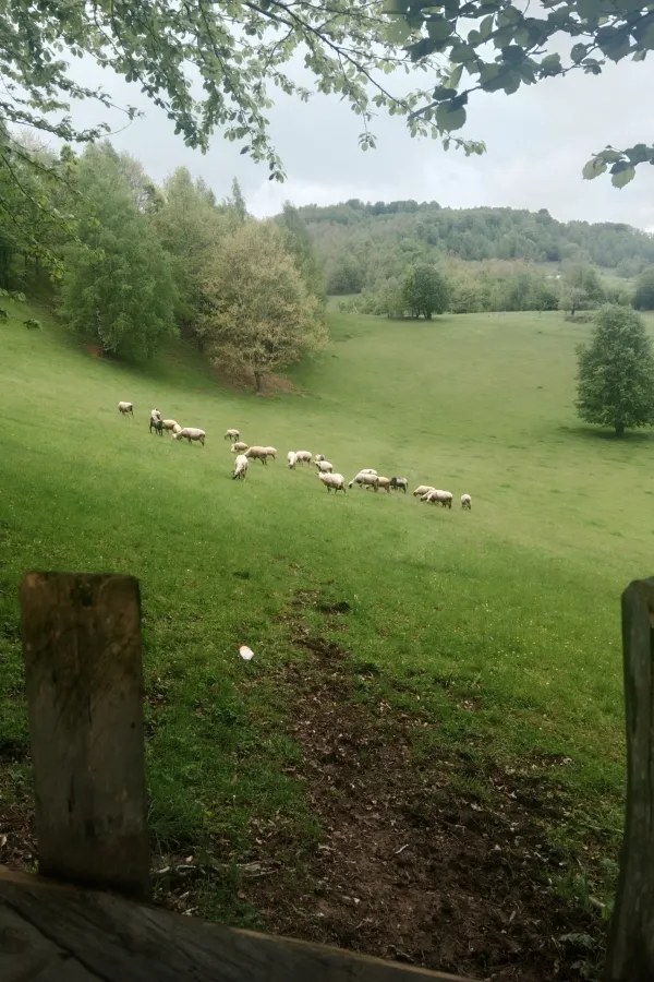 Poljoprivreda i stočarstvo na koljenima
