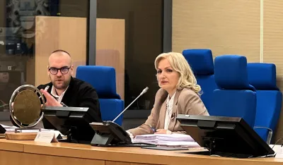 Borovinić Bojović 