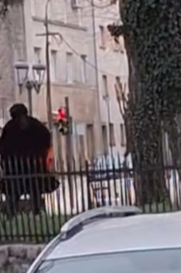(VIDEO) Vri&scaron;tala i pela se po grobnicama Vla&scaron;kog groblja na Cetinju