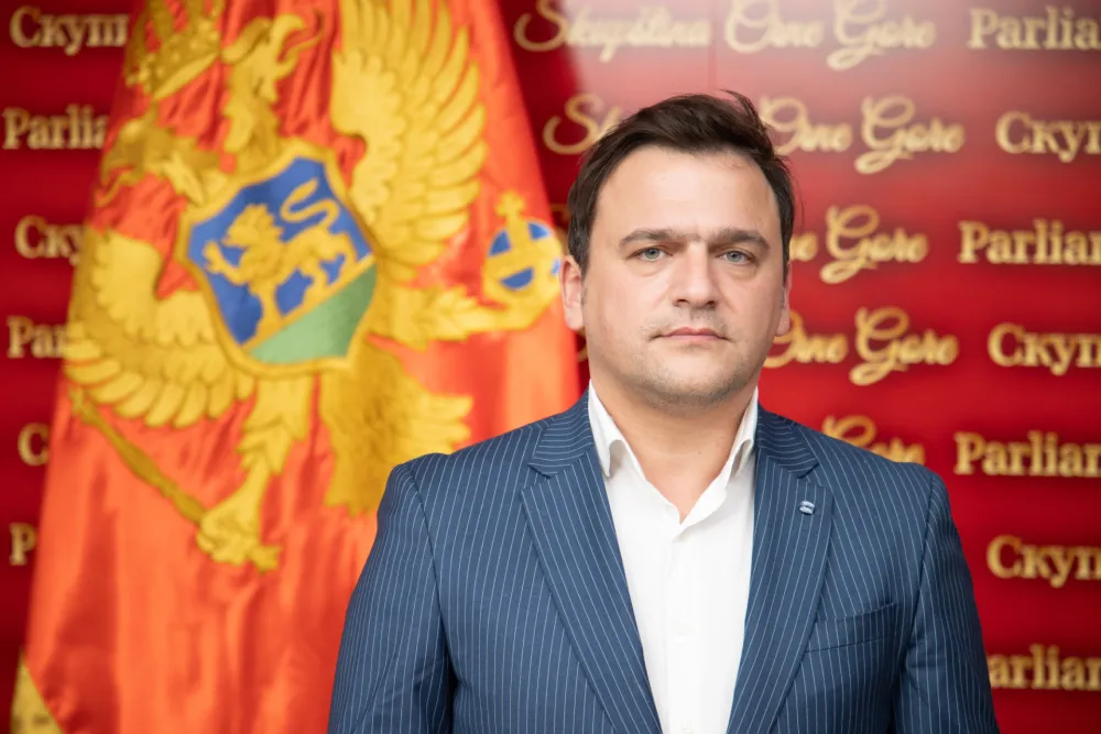 Dragović: Uslovljavanja Kneževića i DNP-a neprirodna, brod plovi i bez DPS-a