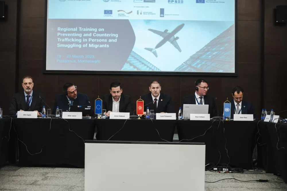 &Scaron;ćepanović: Prepoznati novi oblici krijumčarenja migranata koji uključuju nasilje