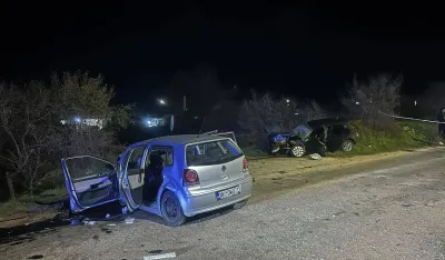 Udes Nik&scaron;ić, Rubeža