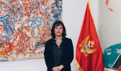 Vujović: Prijetnje upućene novinarki Jovanović duboko uznemiruju