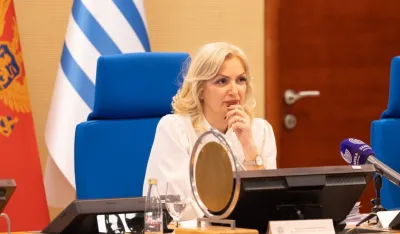 Borovinić Bojović