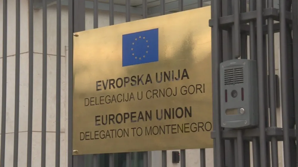 Delegacija EU