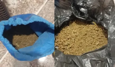 Marihuana Zeta
