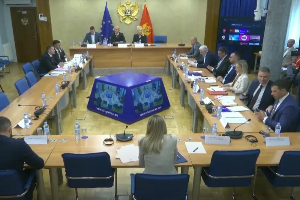 (VIDEO) &Scaron;ćepanović: Policija nije mogla spriječiti masovno ubistvo na Cetinju