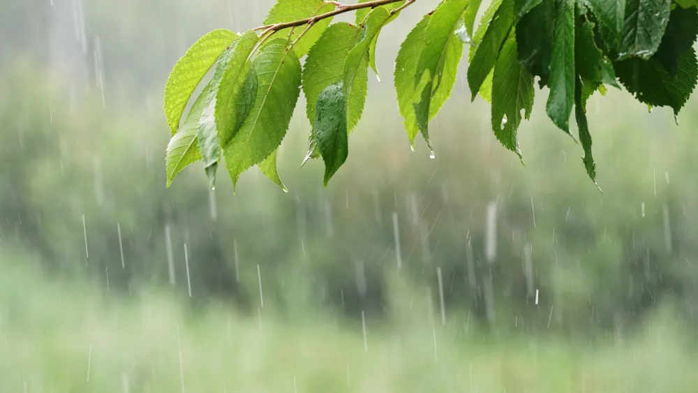 Sjutra ki&scaron;a povremeno, mjestimično pljuskovi i grmljavina