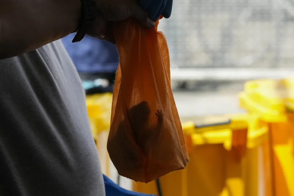 U Sarajevu dva nova slučaja leptospiroze, ukupno zaraženo 28 ljudi