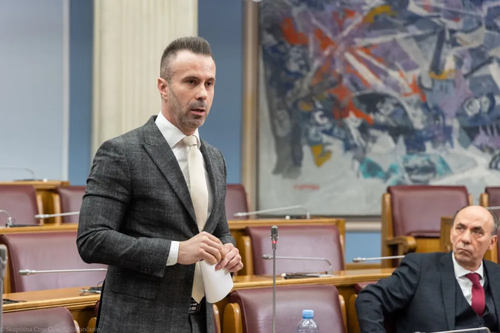 Bogdanović: Crnu Goru nije ugrožavao kriminal iz podzemlja, već kriminal u institucijama