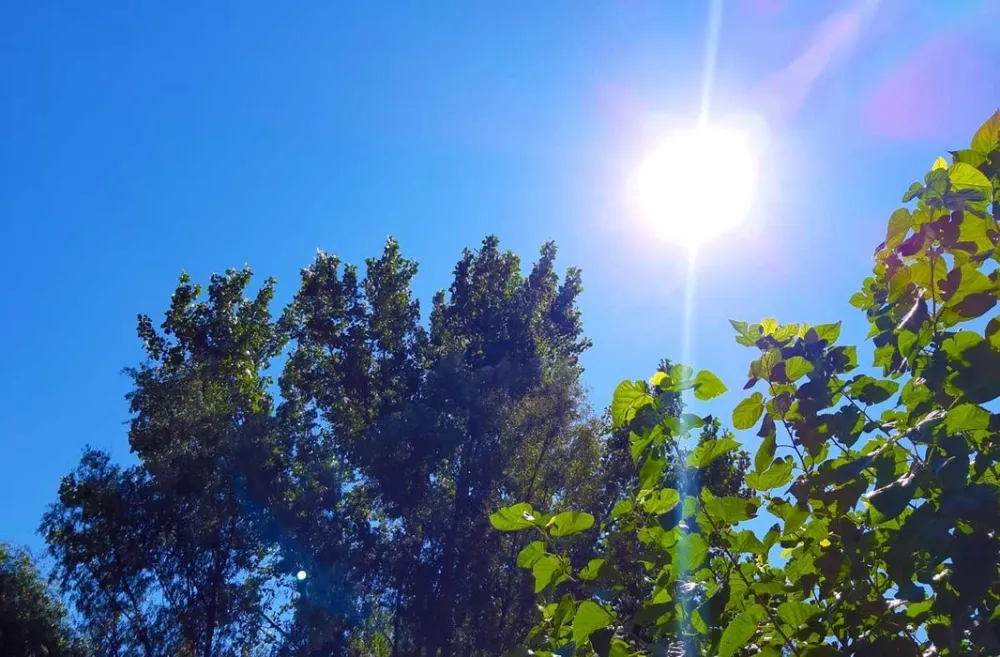 (VIDEO) Sjutra sunčano i toplo