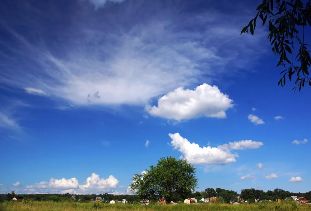 (VIDEO) U četvrtak sunčano sa visokim temperaturama