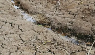 Djelovi Evrope se suočavaju sa su&scaron;om nakon rekordno toplog proljeća