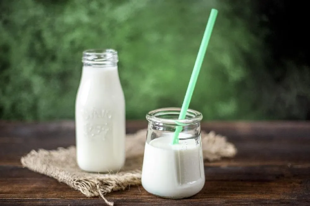 Prirodni probiotici i prebiotici: Koja hrana ih sadrži najvi&scaron;e?