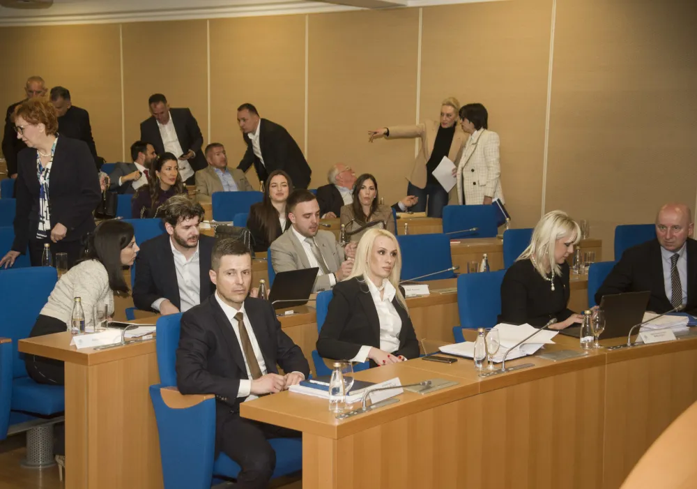 sjednica skupstine glavnog grada