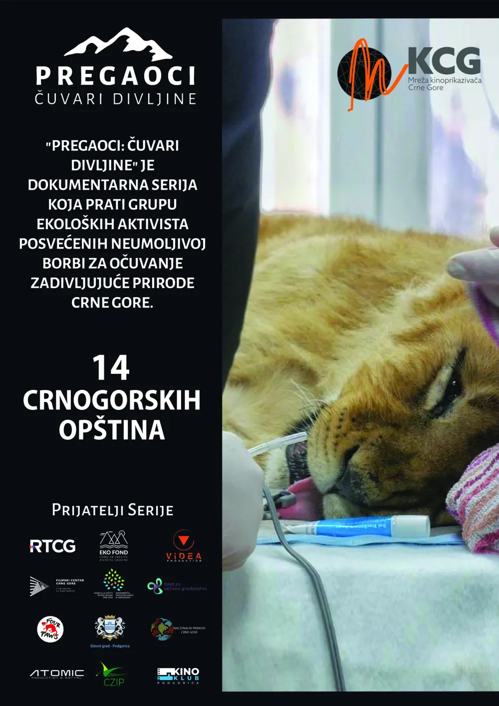 Plakat za događaj