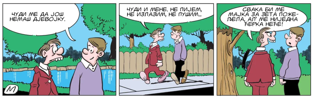 Strip